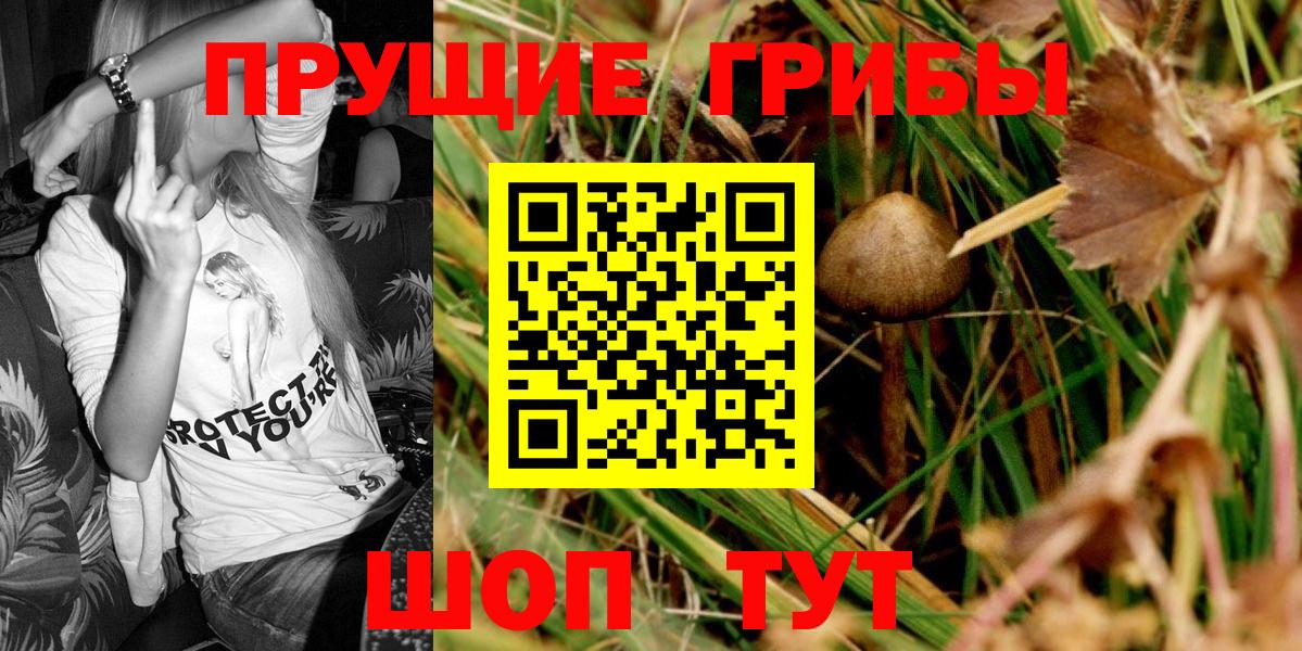 Домодедово  Псилоцибиновые грибы мицелий  Псилоцибиновые грибы Psilocybe  Вход с VPN 
